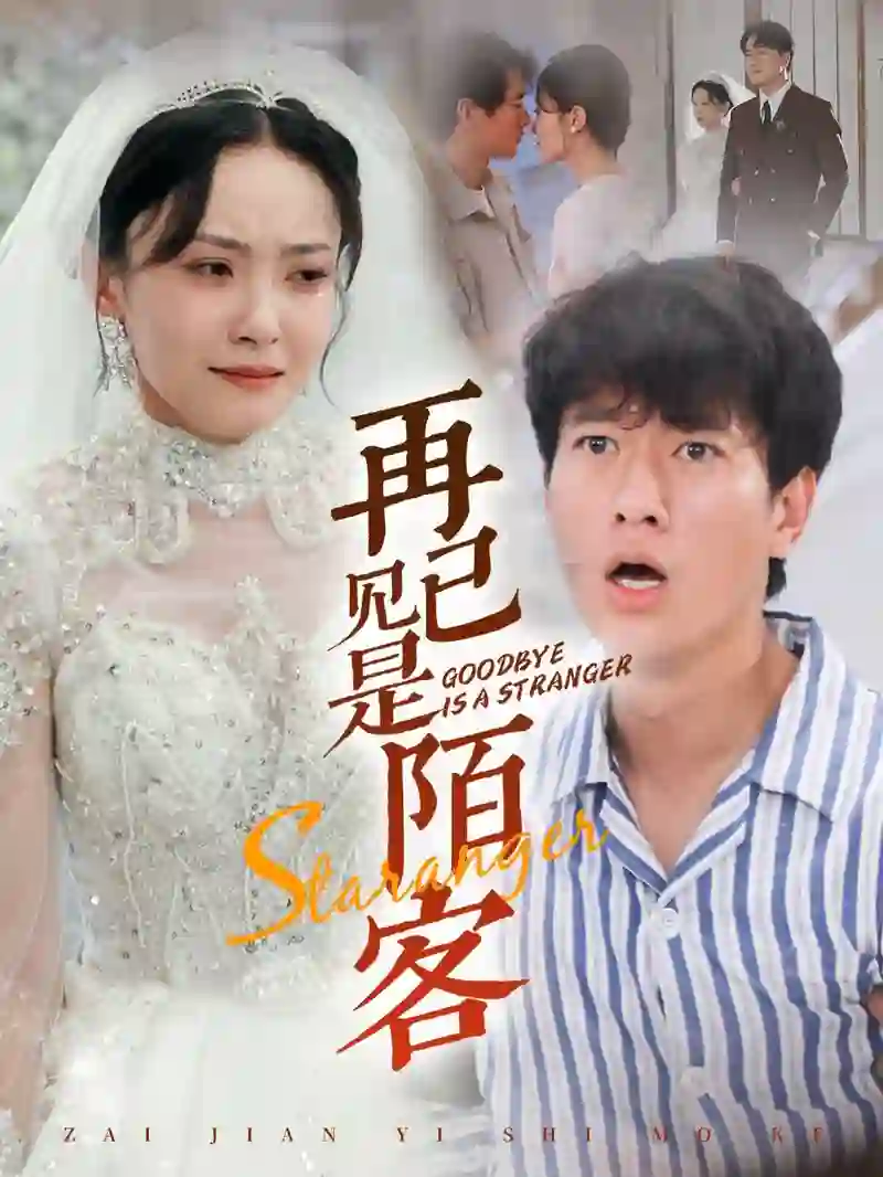 再见已是陌客(归来的星光)