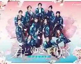 与你一起绽放 新选组青春录