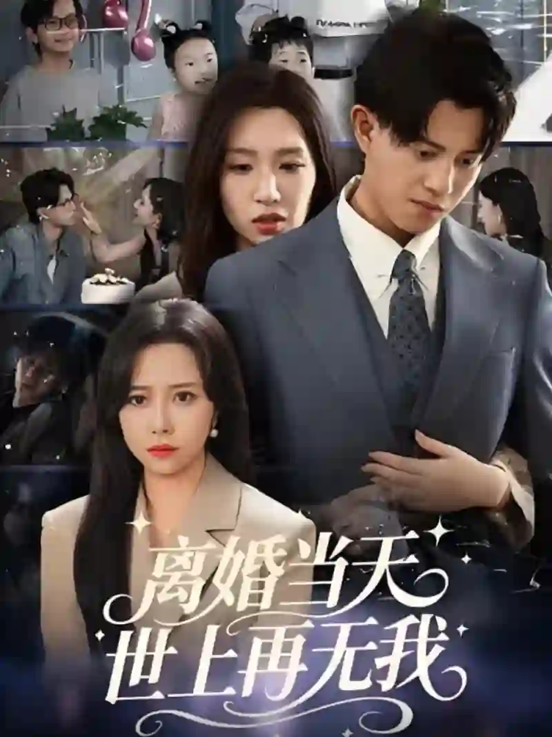 离婚当天世上再无我